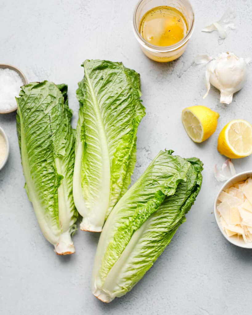 overhead view ingredients including romaine lettuce, garlic, lemon, and parmesan cheese