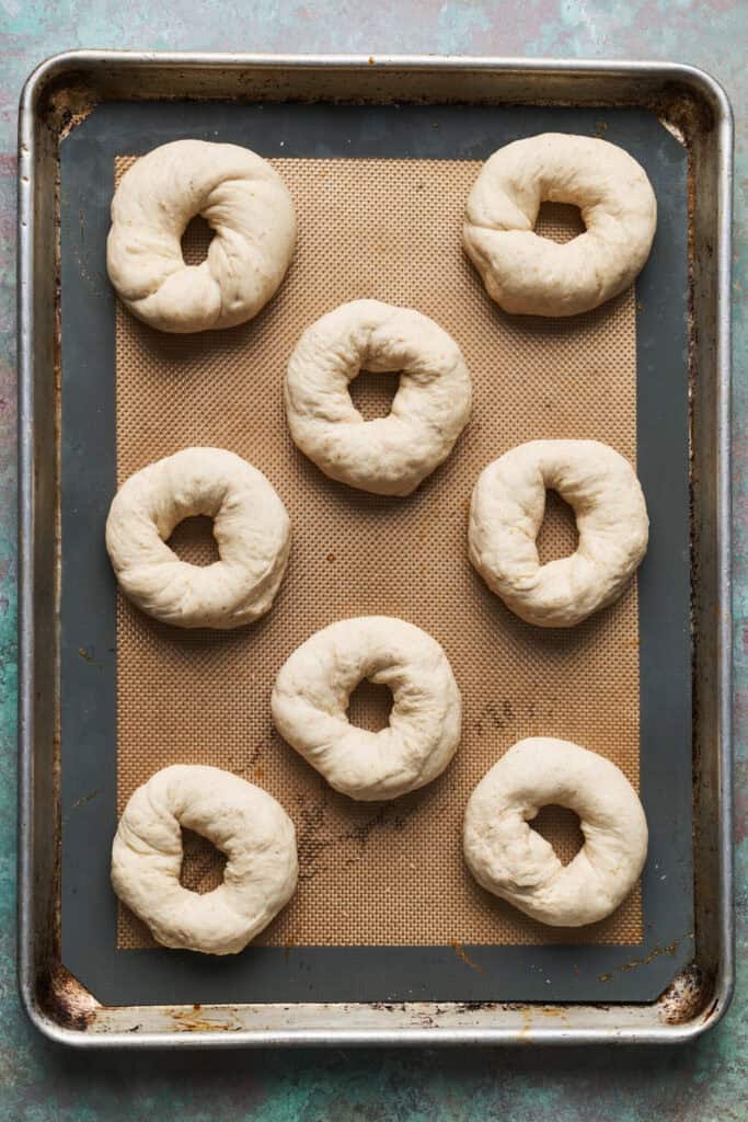 Bagels on a sheet tray before the first rise