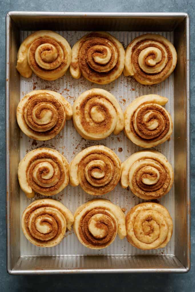 cinnamon rolls before they've risen in the pan