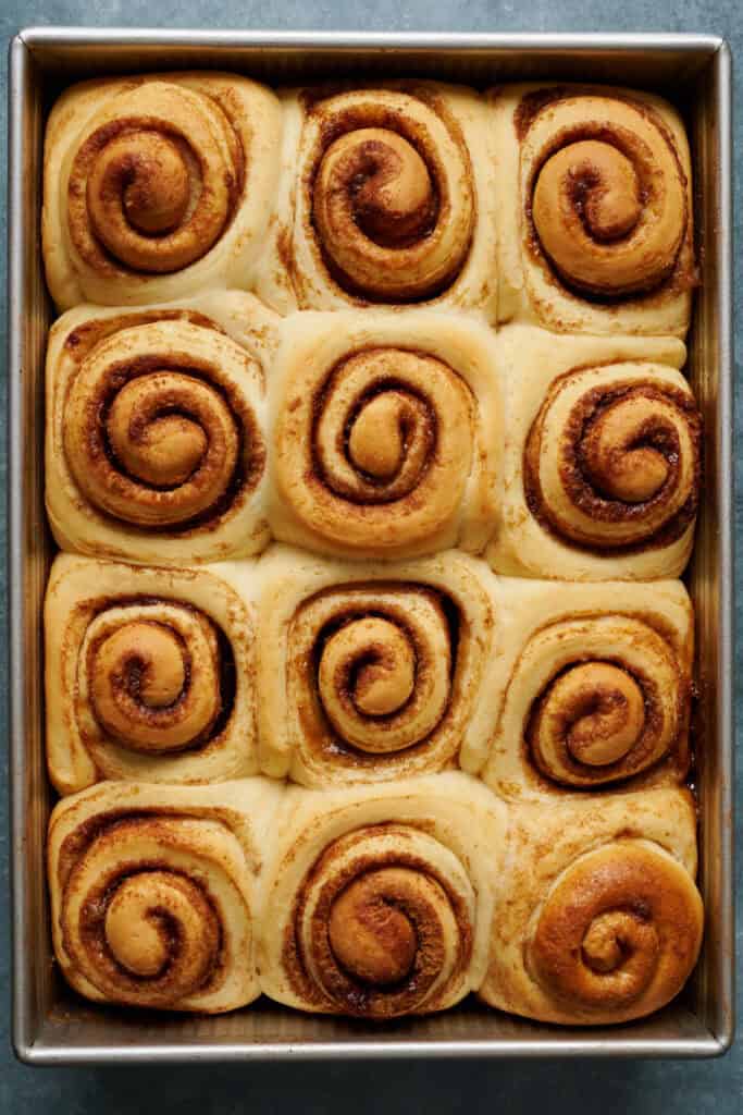 cinnamon rolls right out of the oven