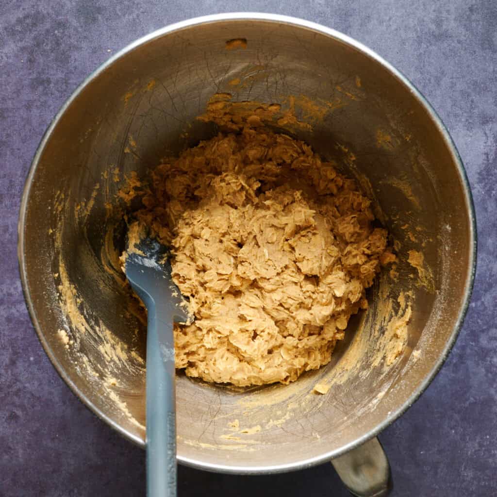 oatmeal cinnamon cookie dough mixed