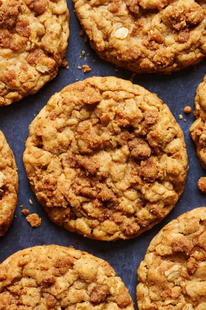 closeup detail of a cinnamon oatmeal cookie