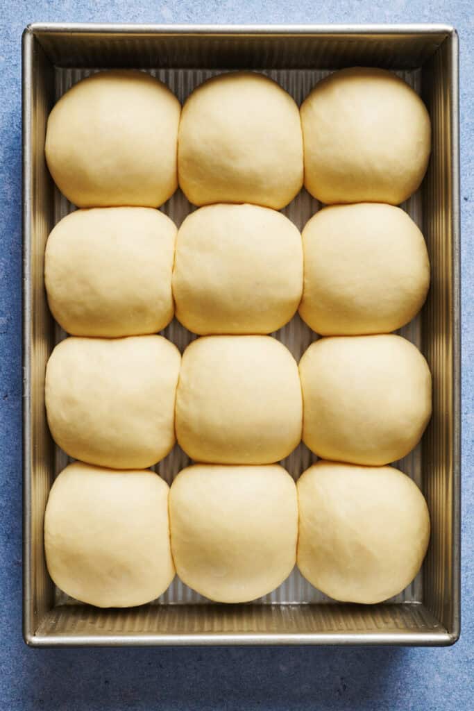 rolls in a 9 x 13 pan after the second rise before baking