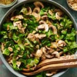 overhead view of a bowl of salad with mushrooms, scallions and basil