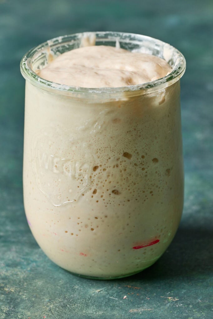 a large jar of sourdough discard