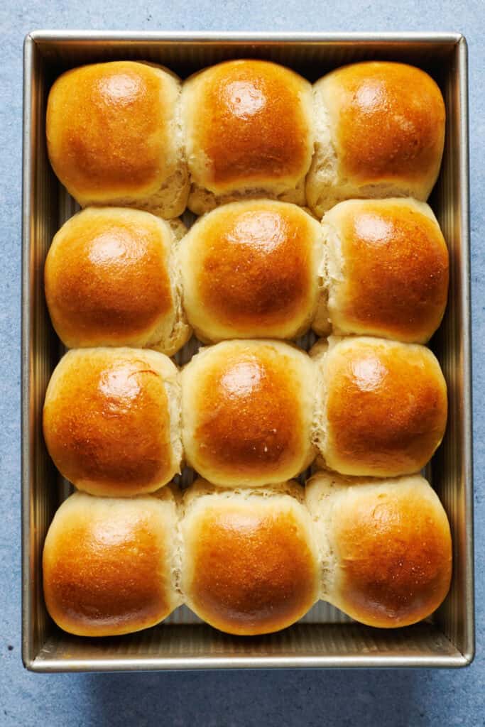 baked sourdough discard dinner rolls with golden brown tops from egg wash