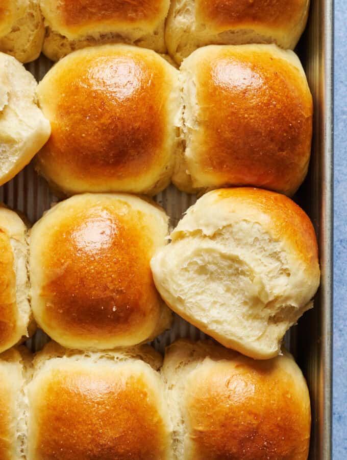 overhead view of a tray of fresh sourdough discard dinner rolls with one turned on its side