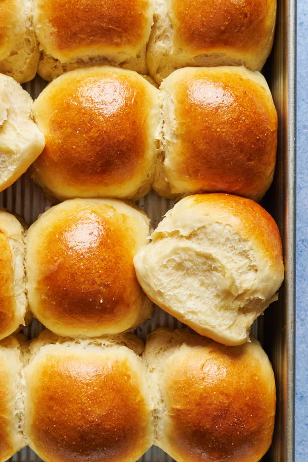 overhead view of a tray of fresh sourdough discard dinner rolls with one turned on its side