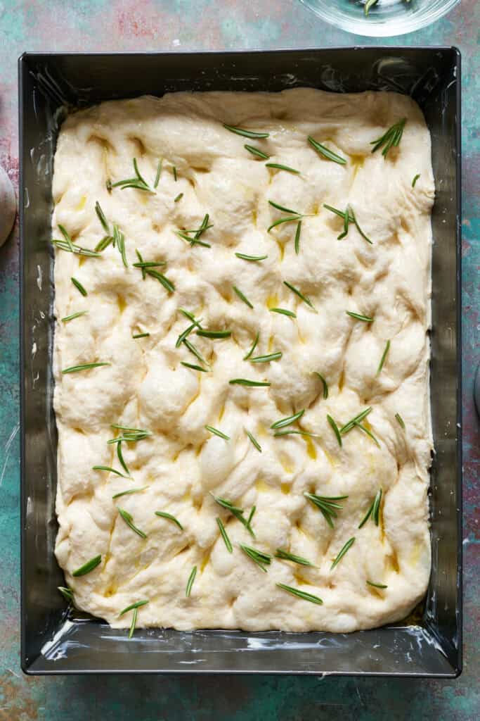 focaccia bread before being baked with fresh rosemary and salt on top