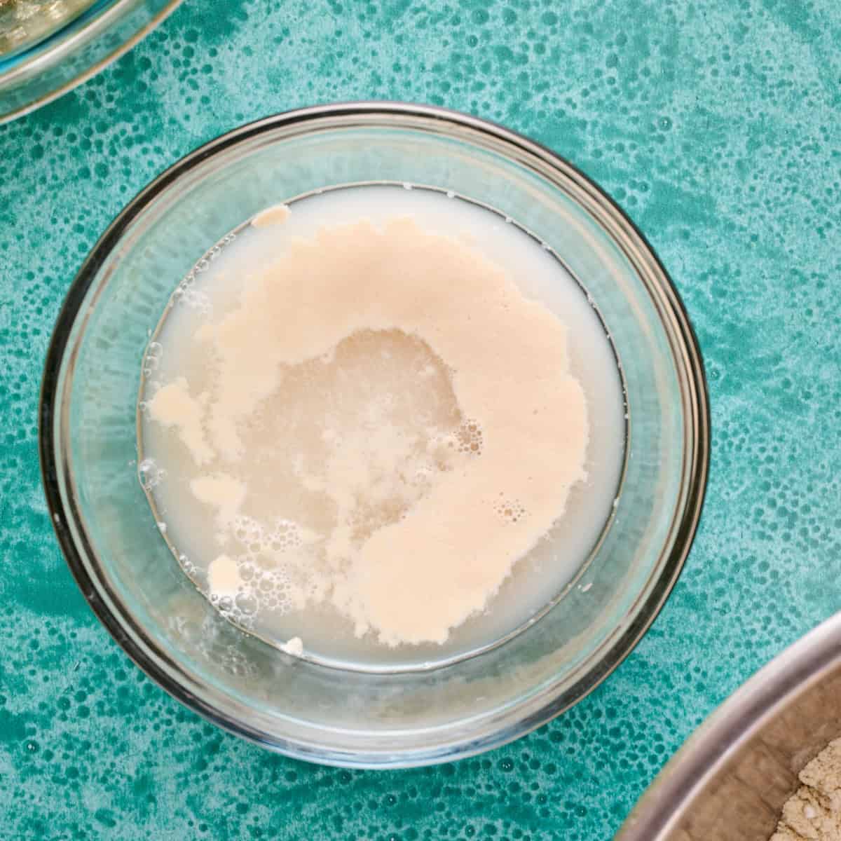 yeast bloomed in warm water in a bowl