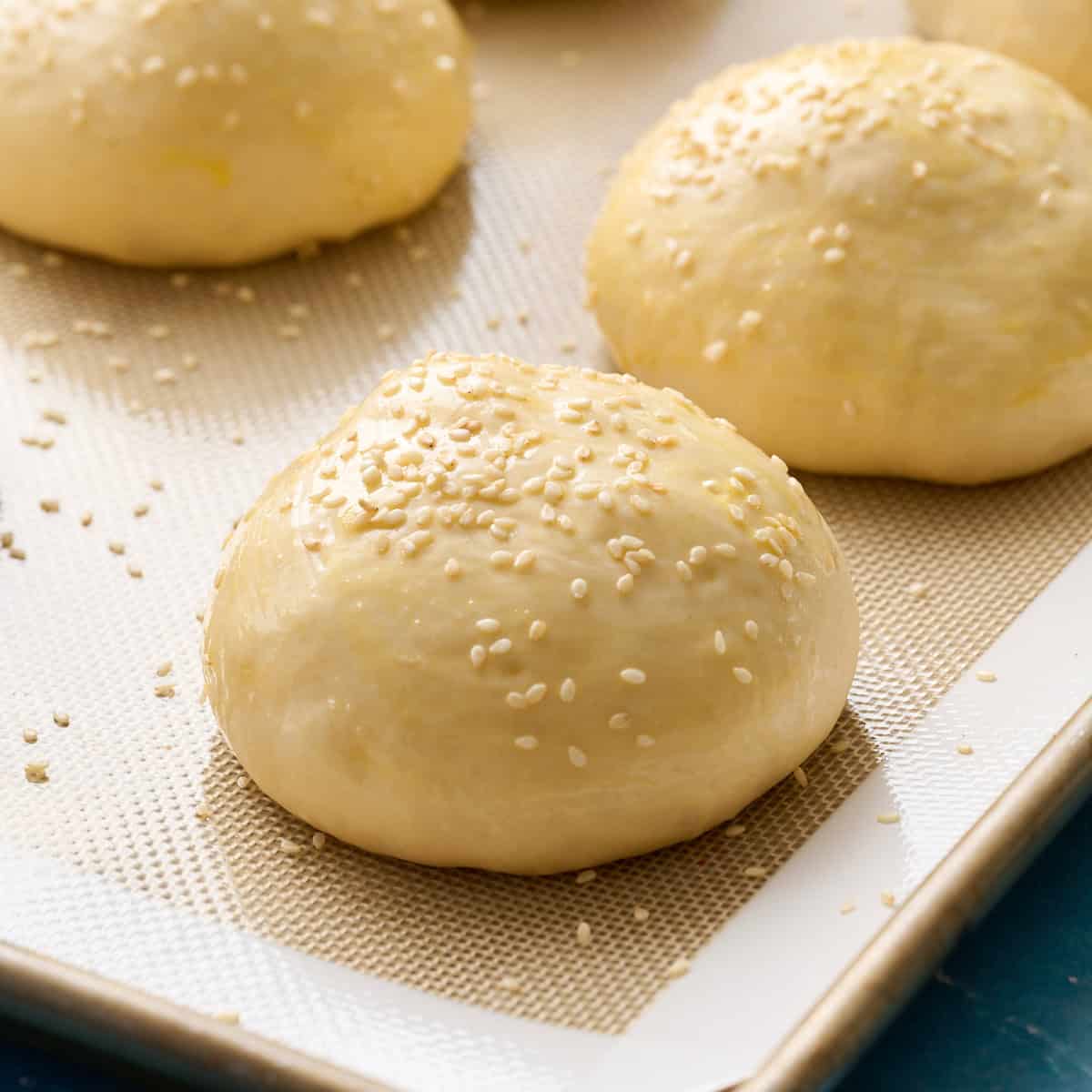 hamburger buns unbaked on a baking tray sprinkled with sesame seeds