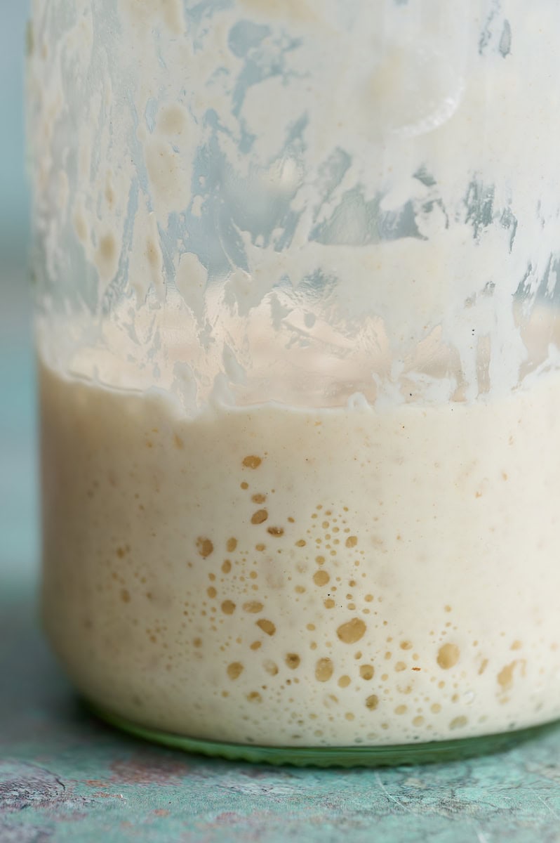 Sourdough Beginners Guide showing bubbly sourdough starter