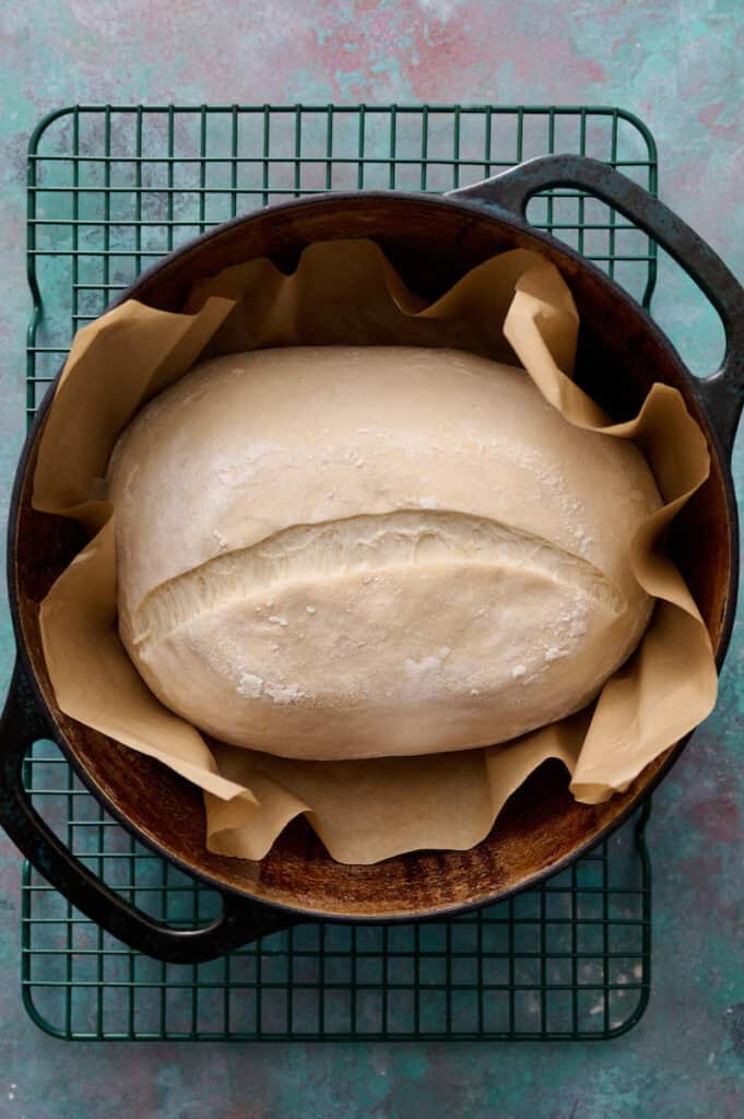 sourdough bread loaf after second proofing, scored and ready for baking in a dutch oven