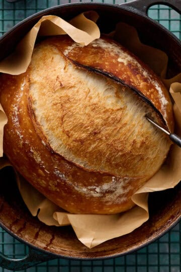 sourdough loaf in a dutch oven after being baked