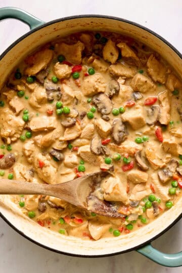 finished pot of chicken a la king